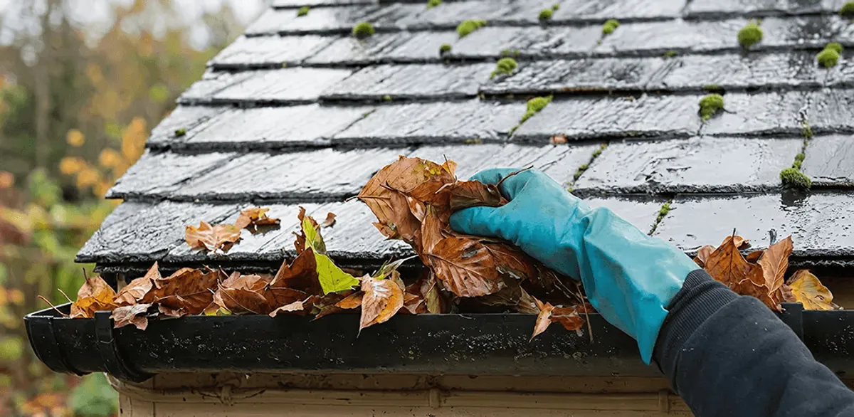 Gutter cleaning technician clearing wet leaves from roof gutters in Glendale, AZ